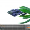 Flowers Blossom in Alive Biofeedback Game