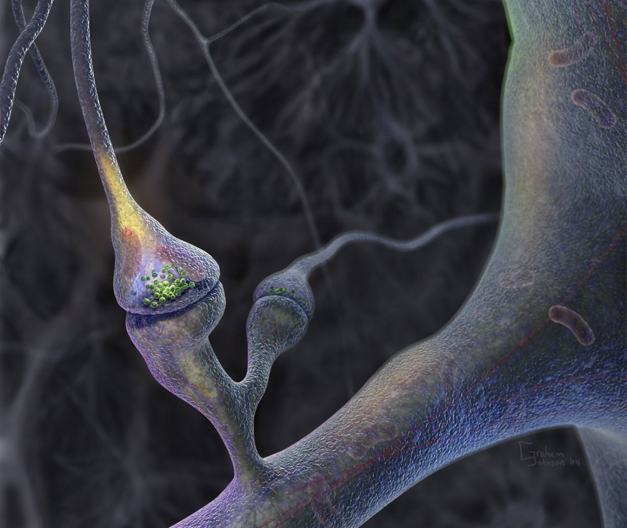 Neuron Cells Network, Concept Of Neurons And Nervous System Stock Photo,  Picture and Royalty Free Image. Image 19098059.
