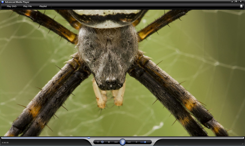 Advanced Media Player Biofeedback Software Spider Example
