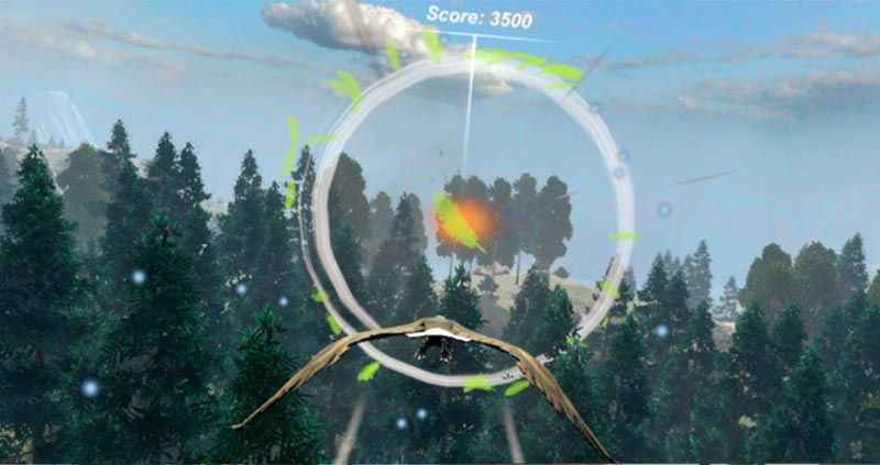 Virtual Reality Eagle Flying Biofeedback Game